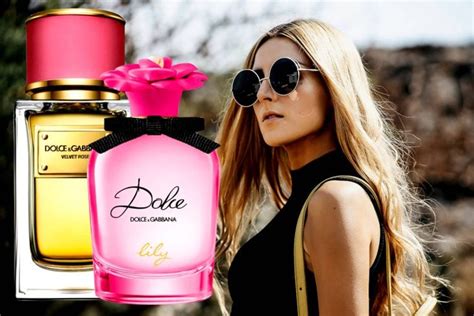 the best dolce and gabbana perfume